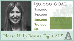 Bonita Fundraising Scale
