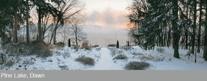 pine-lake-dawn-2